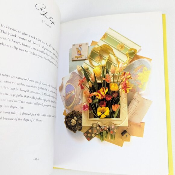 The Meaning of Flowers bright yellow book with Victorian floral illustrations - Picture 9 of 16